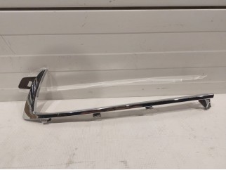 Upper Molding LH